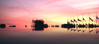 Landscapes