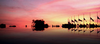 Landscapes
