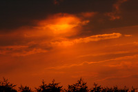 Landscapes