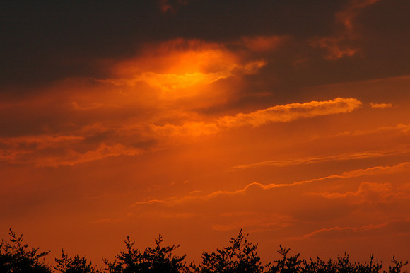 Landscapes