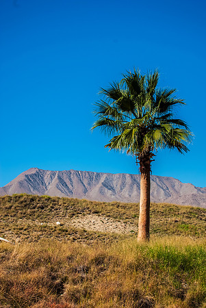 Landscapes