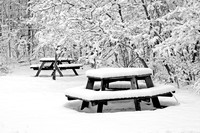 Nature Landscapes
