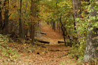 Landscapes