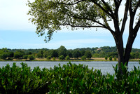 Landscapes
